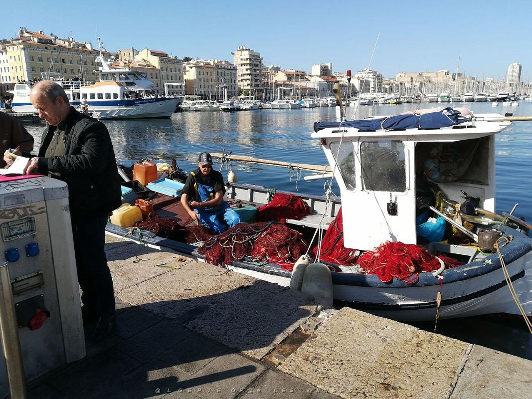 011- Marseille Vieux-Port.jpg - bst